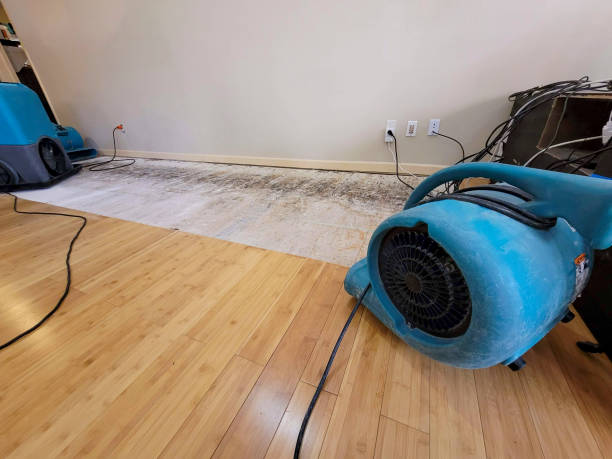 Professional Basement Flood Cleanup technician working in Huntsville, TX